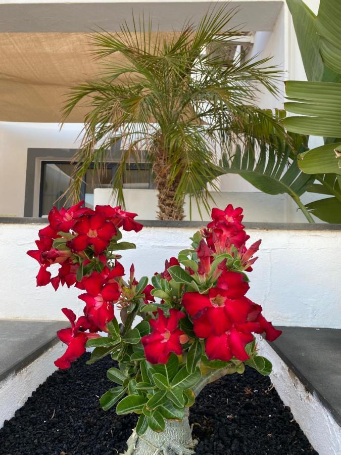 Casa Delfin Playa Blanca 빌라 외부 사진